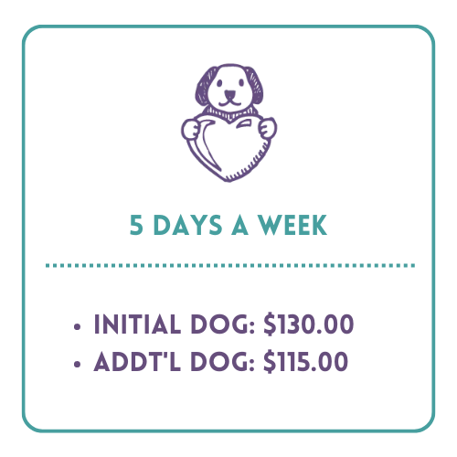 Doodle dog 5 days price box (1)