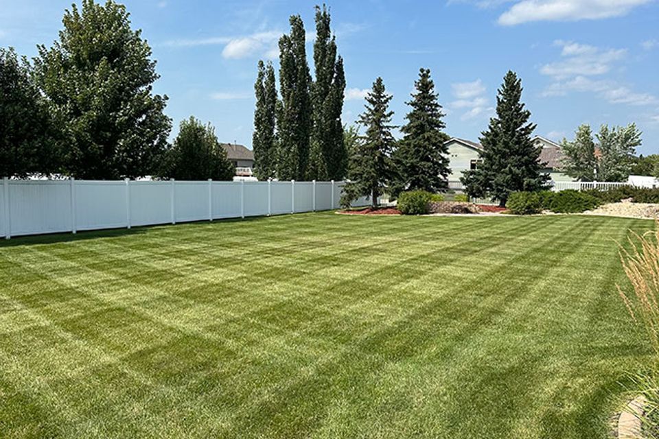 Grizzly lawn care 5
