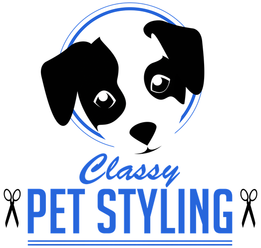 Classy Pet Styling