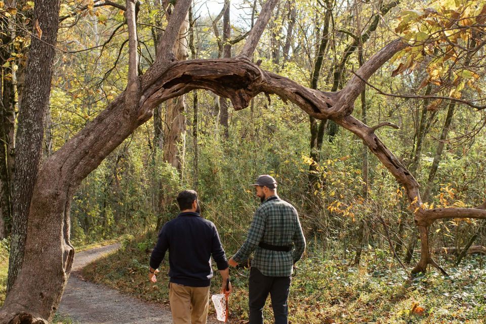 Buffalomountaincounseling 251021 0157