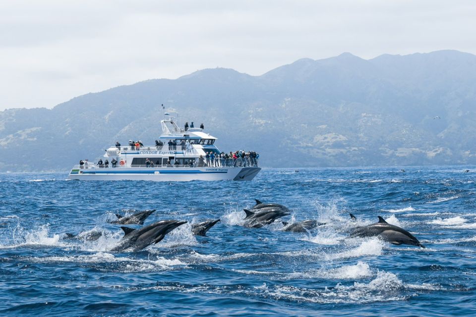 494680360 1123340319837157 3782383652885330067 n