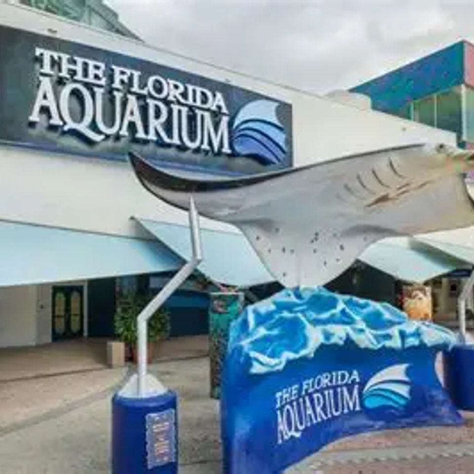 The florida aquarium