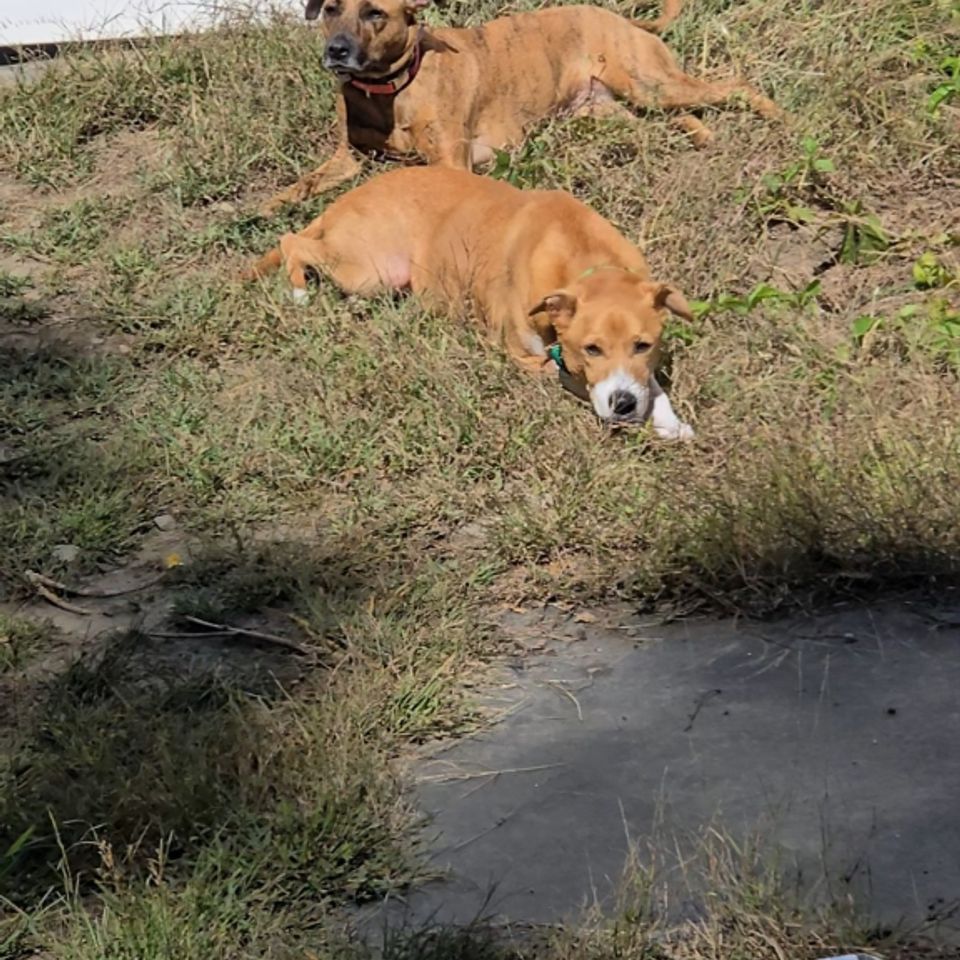 20250919 115317 exported 7439