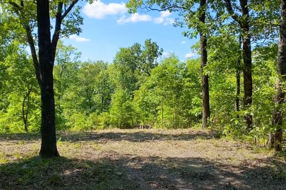 Site after cleanup