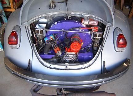 Purple t4 in t1 s 432x312