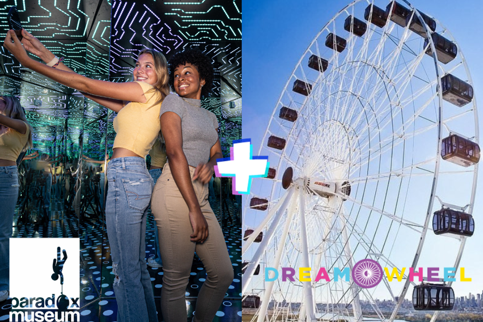 Paradox museum miami x dream wheel ticket image