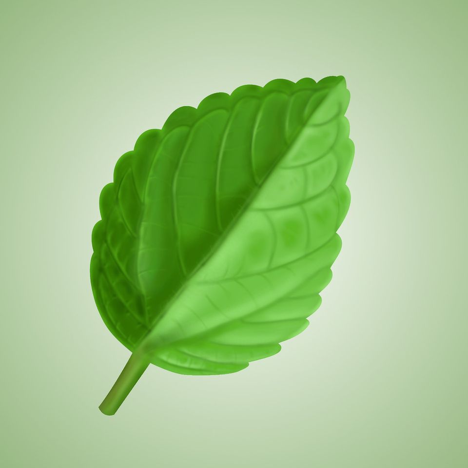 Loginueve ilustra leaf gdd386e7e0 1920