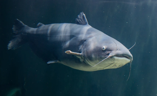 Screenshot 2026 02 24 at 12.52.24 pm