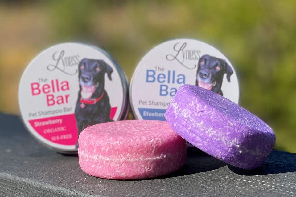 Img 1063