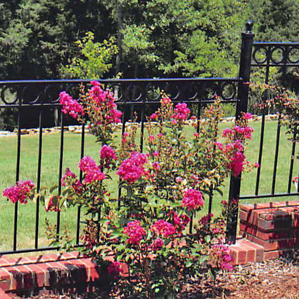 Rails and fence 4420140401 16693 1w3y4tk