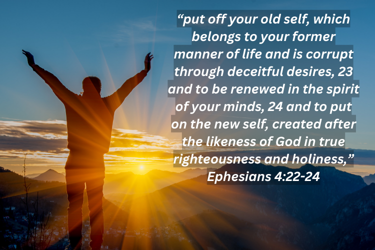Ephesians 4 24  24