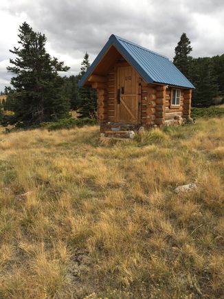Cabin trees
