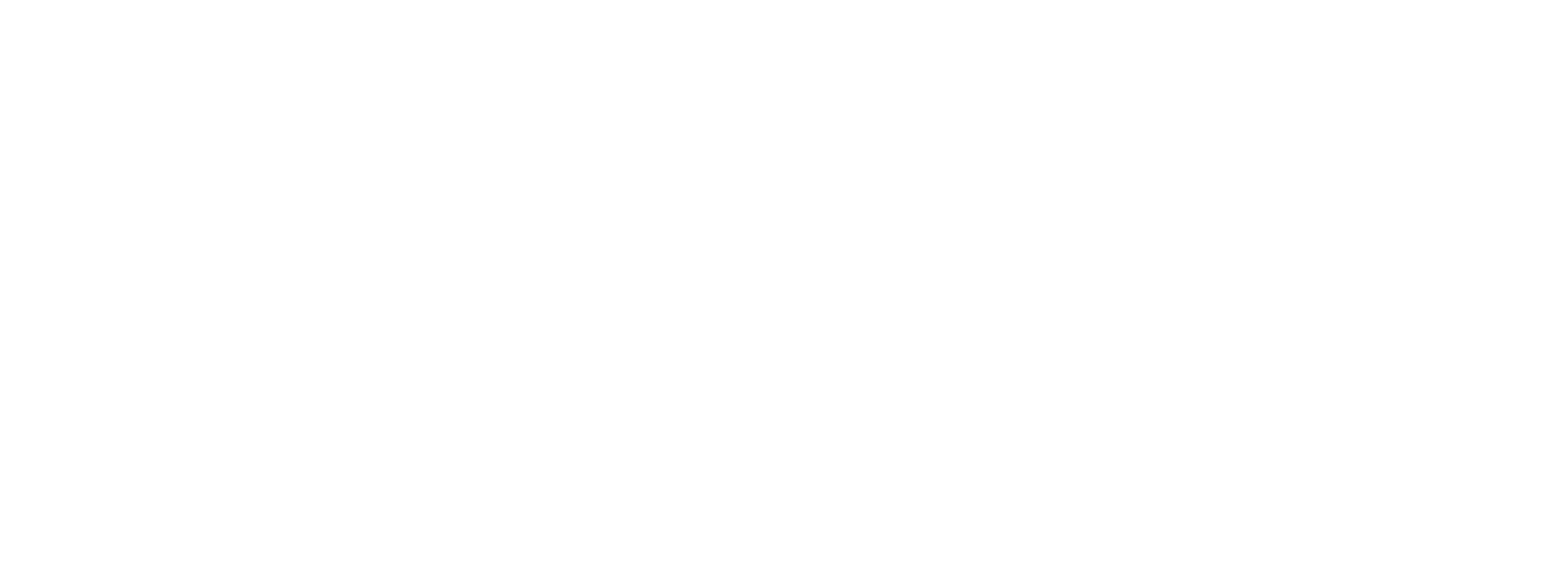 The Review System