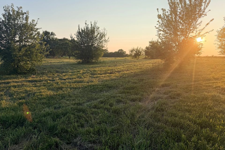 Went 72 7 gold field looking west