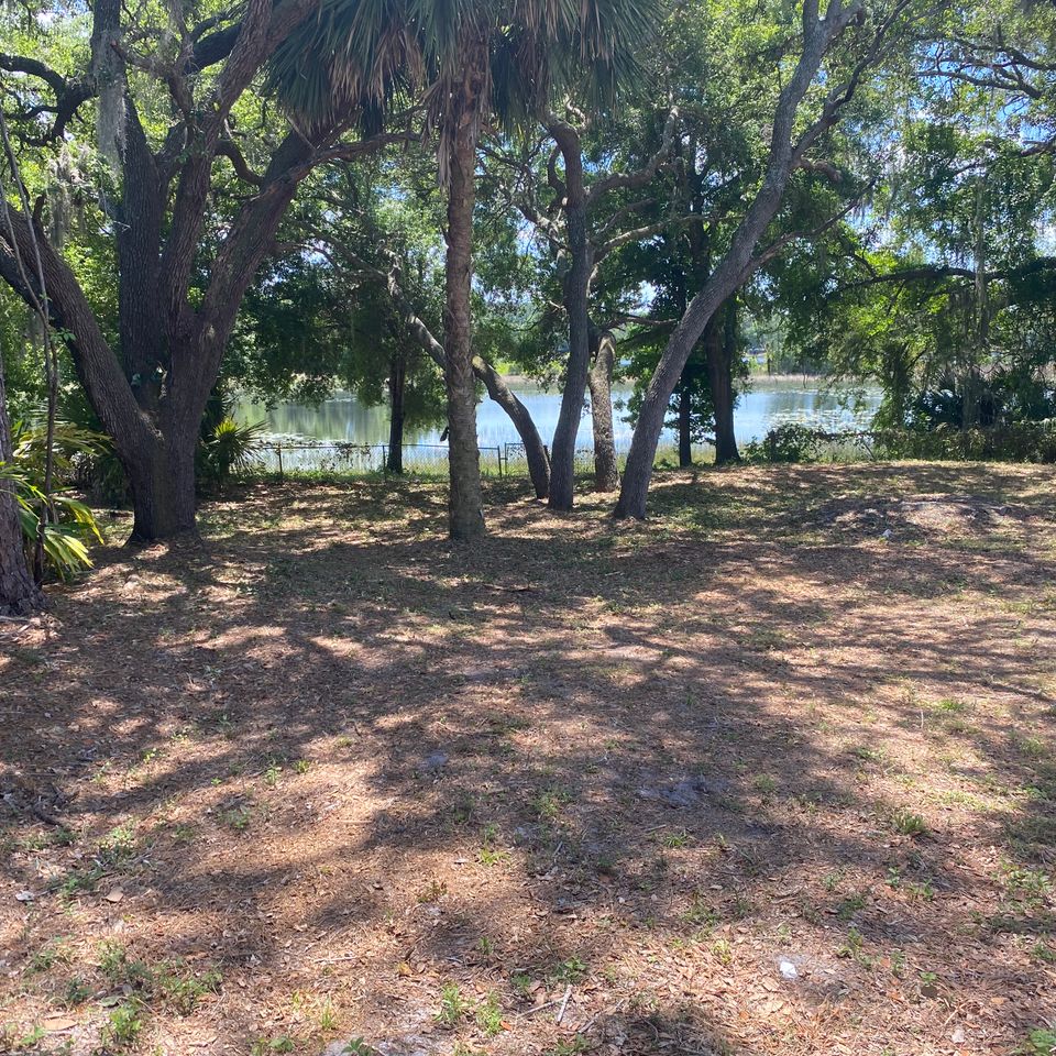 16962 back yard