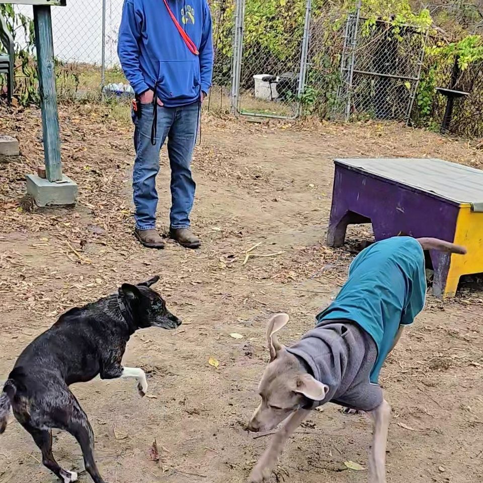 Screenshot 20251106 140910 photos 2