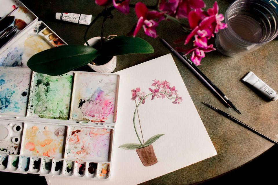 Image original (2) (1)