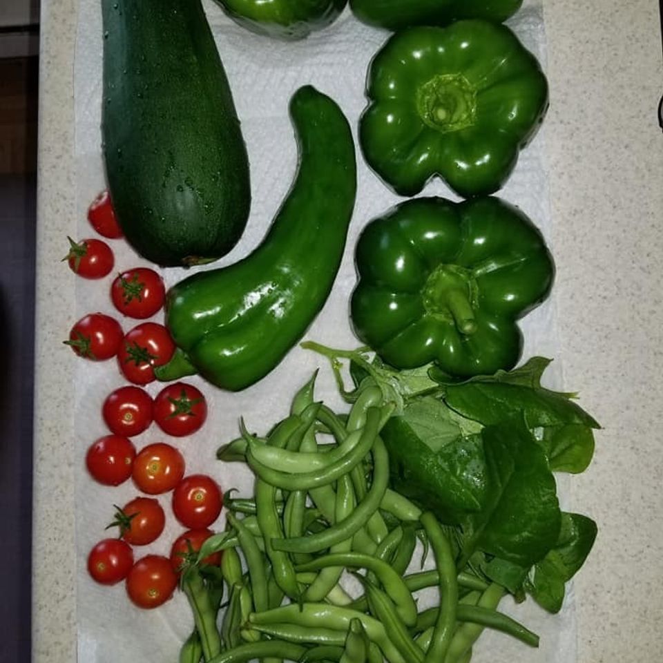 Harvest