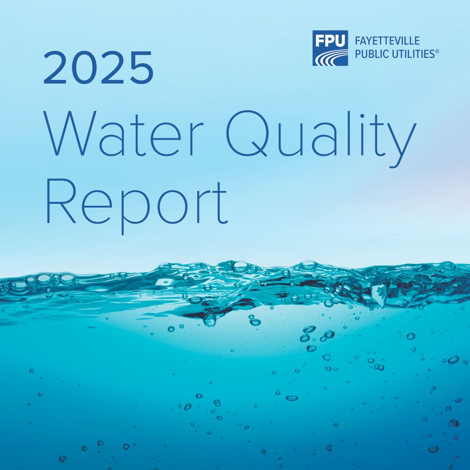 2025 wqr website
