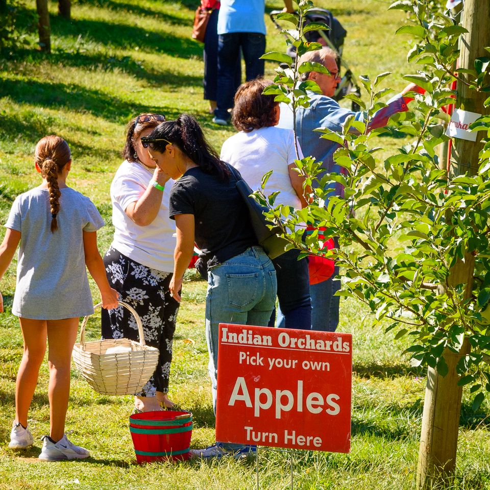 082 moskowphoto©2024