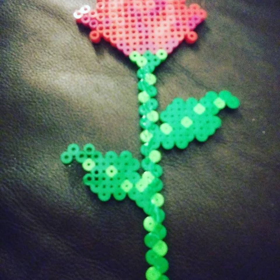 One rose