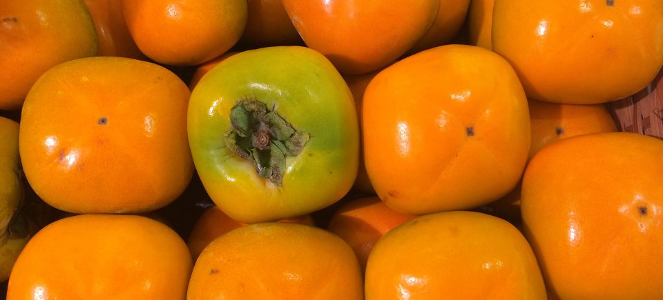 Persimmon gb1e91f6bf 1920