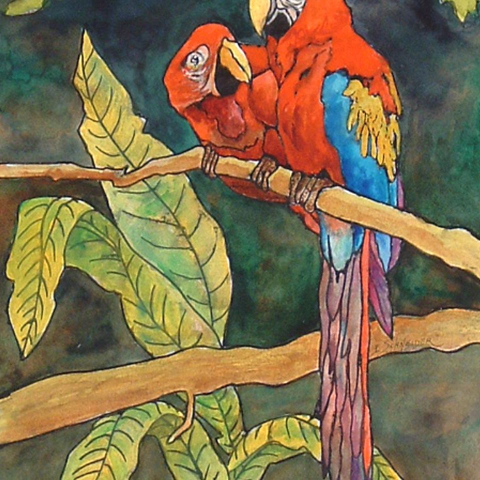 Jungle love