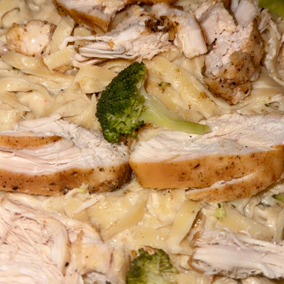 Chicken alfredo