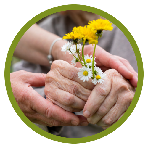 Salus home care website image (500 x 500 px)