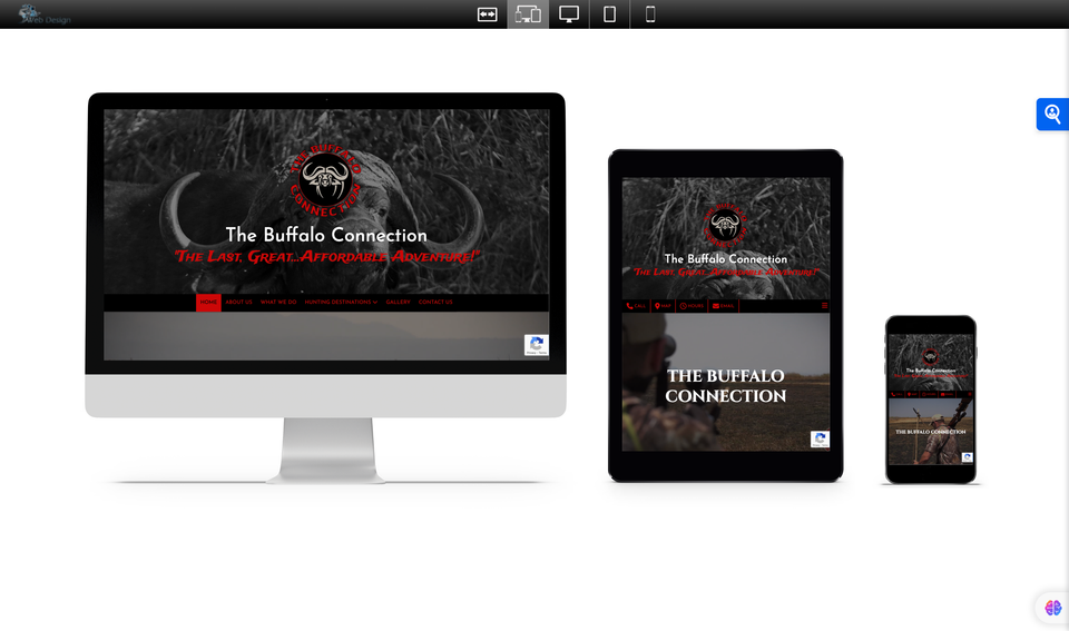 Buffalo connection website