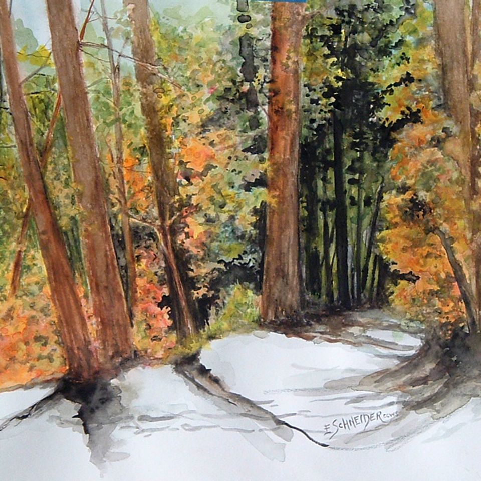 Forgotten path