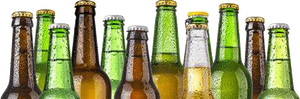 Beer bottlesping
