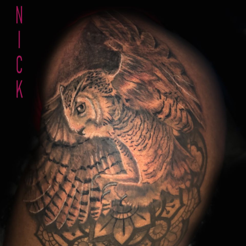 Nick owl