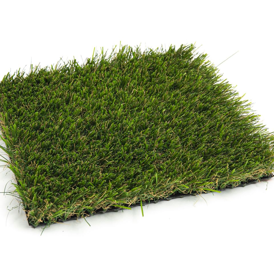 Destiny 60 lawn grass