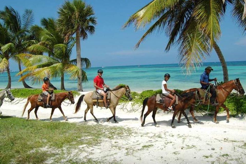 05 horseback beach