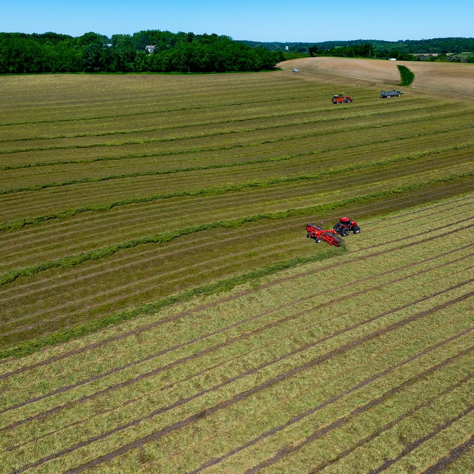 Dji 20240609111542 0017 d
