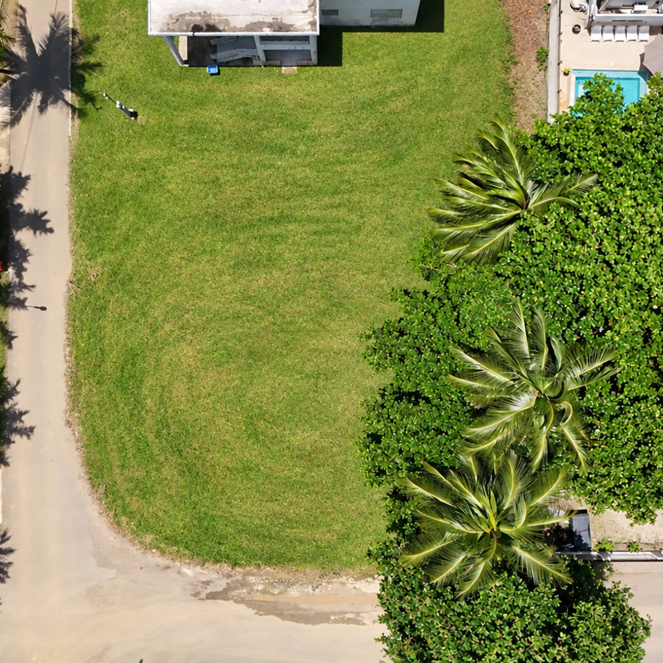 Img 2881