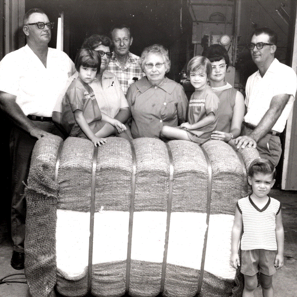 Buxkemper first cotton bale 1969