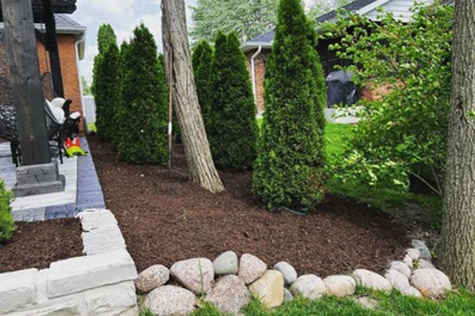 Image mulch rock 1