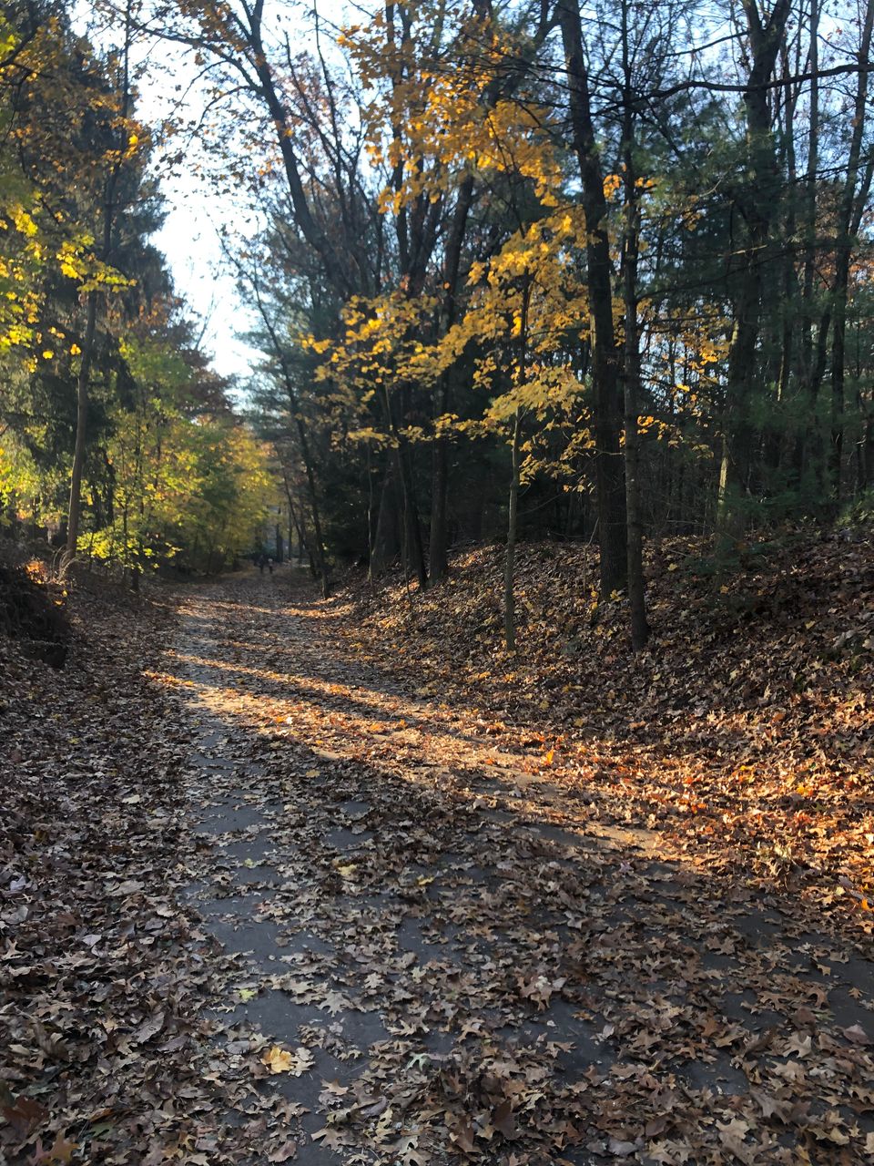 Svt assabet river bluff  railtrail