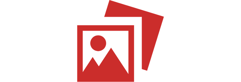 Vigilant website (1)