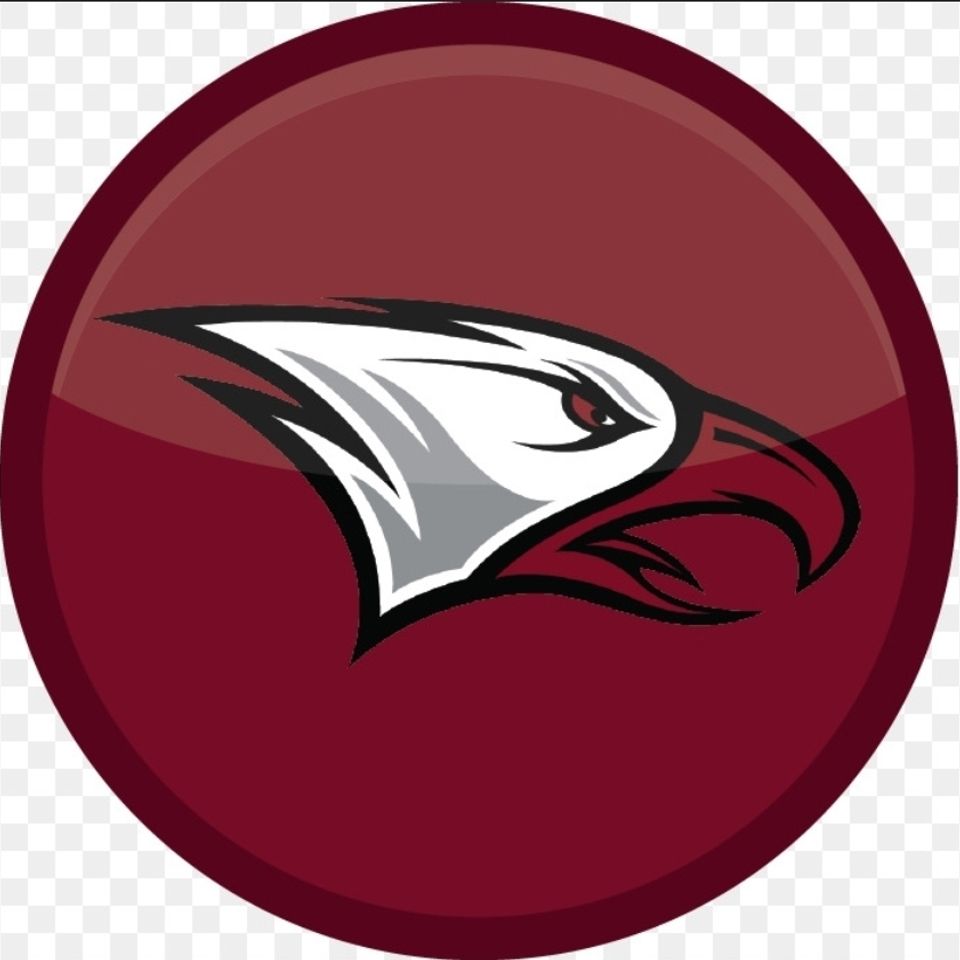 Eagle 2