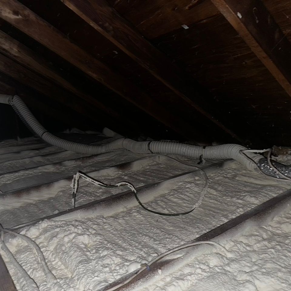 7951aaf1 776c 4357 8cd3 e90931bed1be 1 105 c