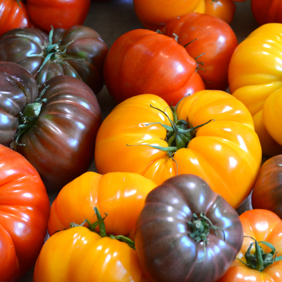 Heirloom tomatoes