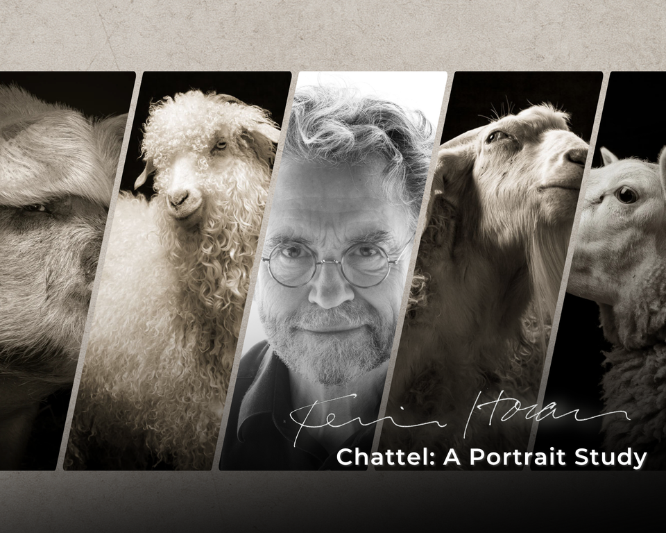 Ginger sunny just living photo collage facebook cover (photo collage)