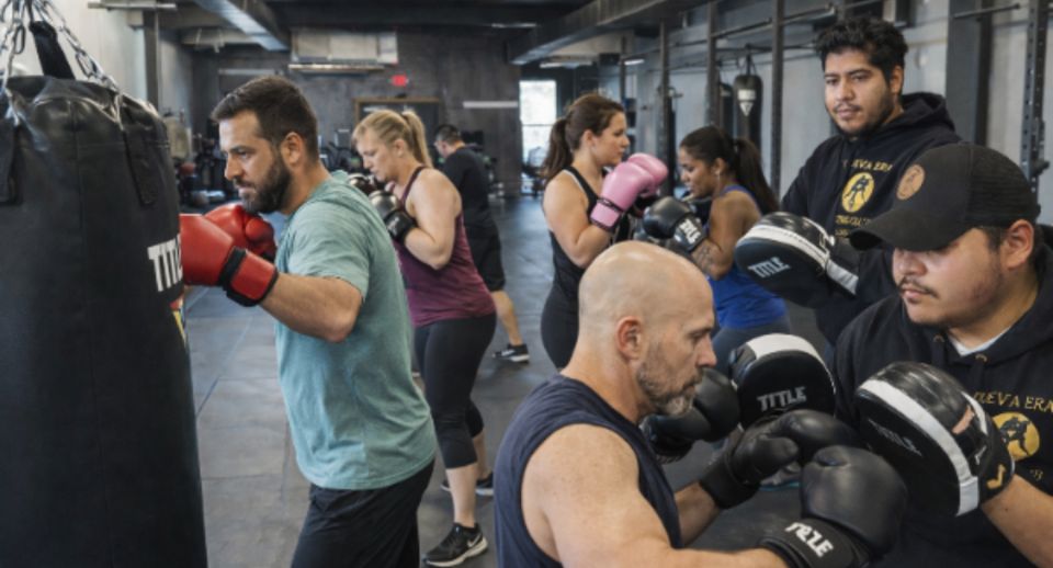 Next level training website