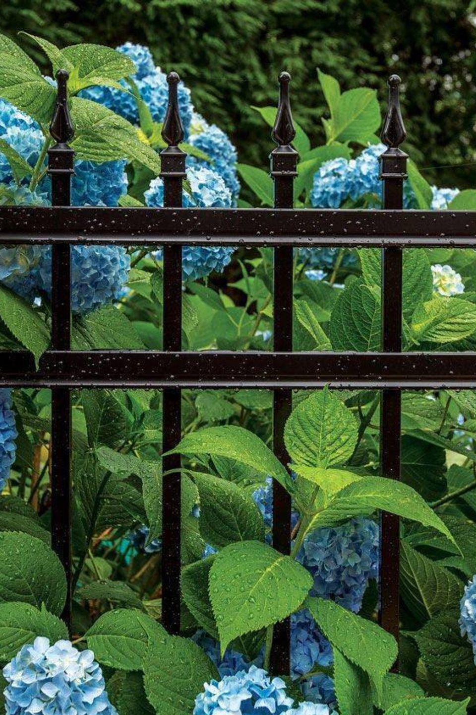Decorative Aluminum Fencing in Twin Falls Idaho