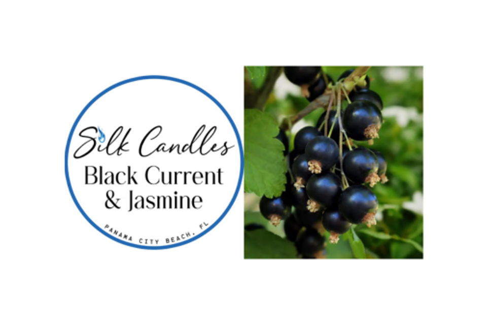 Silk candles black current
