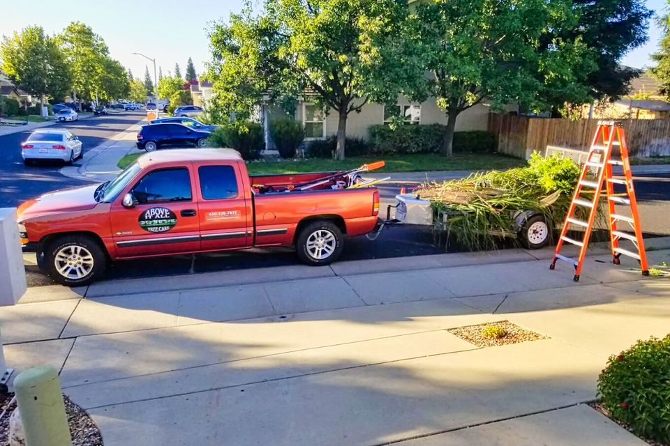 Above It All Tree Care truck hauling away debris to ensure a clean and tidy worksite after a tree removal.