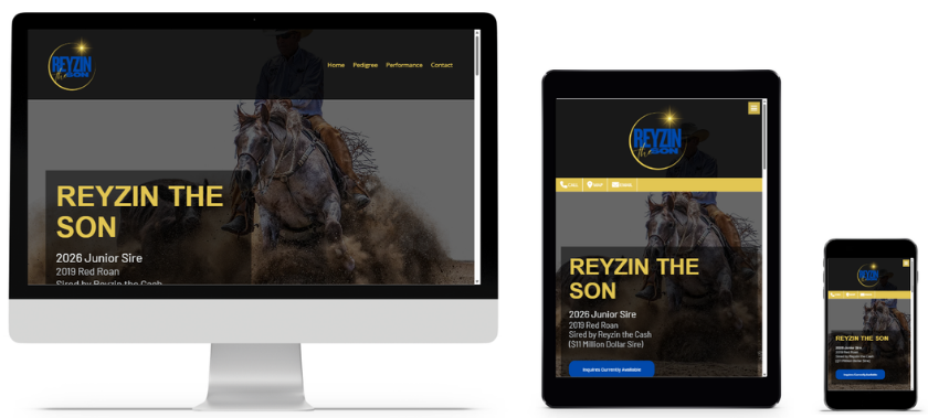 Reyzin the son stallion client website image